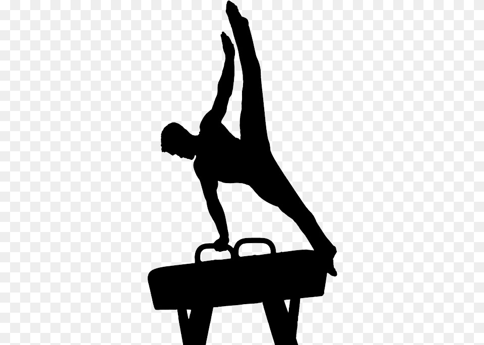 Gymnastics, Acrobatic, Sport, Adult, Female Png Image