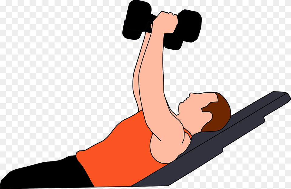 Gymnastics Gym Heavy Gym Vector, Arm, Body Part, Person Free Transparent Png