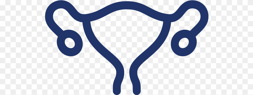 Gynaecology, Animal, Kangaroo, Mammal Free Transparent Png