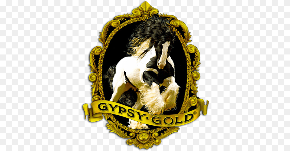 Gypsy Vanner Horses For Sale U2013 Gold Americau0027s Horse Supplies, Logo, Animal, Mammal, Canine Free Png