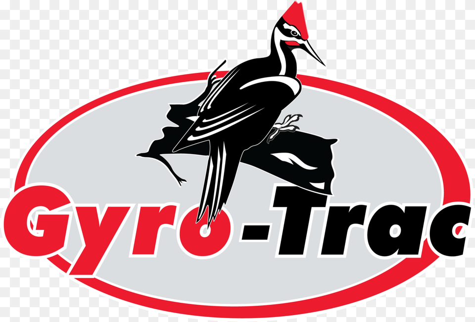 Gyro Trac Corporation Ivory Billed Woodpecker, Animal, Bird Free Png