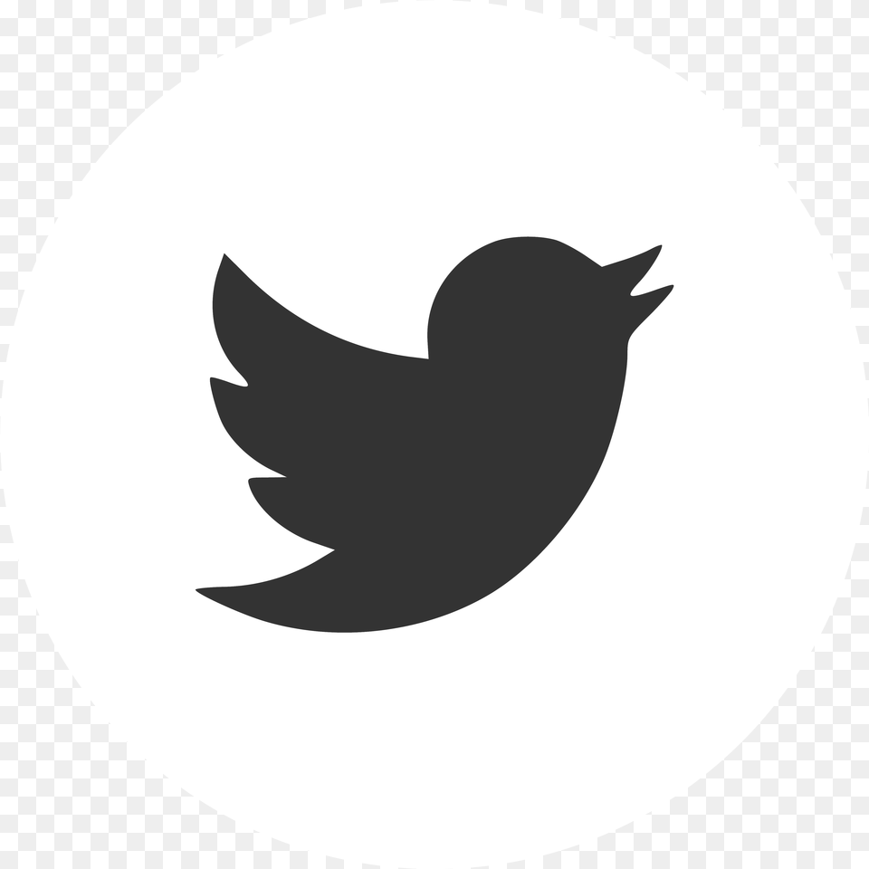 H A B I T N S Official Website Purple Twitter Logo Transparent, Silhouette, Animal, Bird, Blackbird Free Png Download