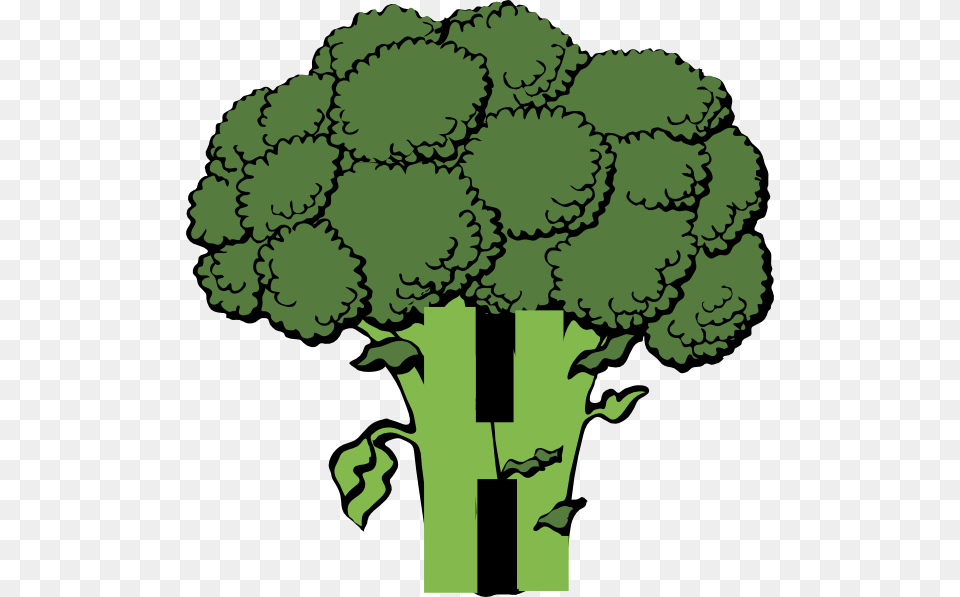 H Broccoli Clip Art, Food, Plant, Produce, Vegetable Png Image