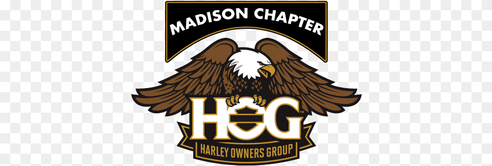 H D Of Madison Hog Chapter General Meeting Harley Harley Owners Group, Animal, Bird, Eagle, Logo Png