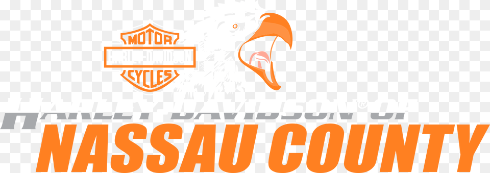 H D Of Nassau County Logo Harley Davidson, Animal, Beak, Bird, Eagle Free Png Download