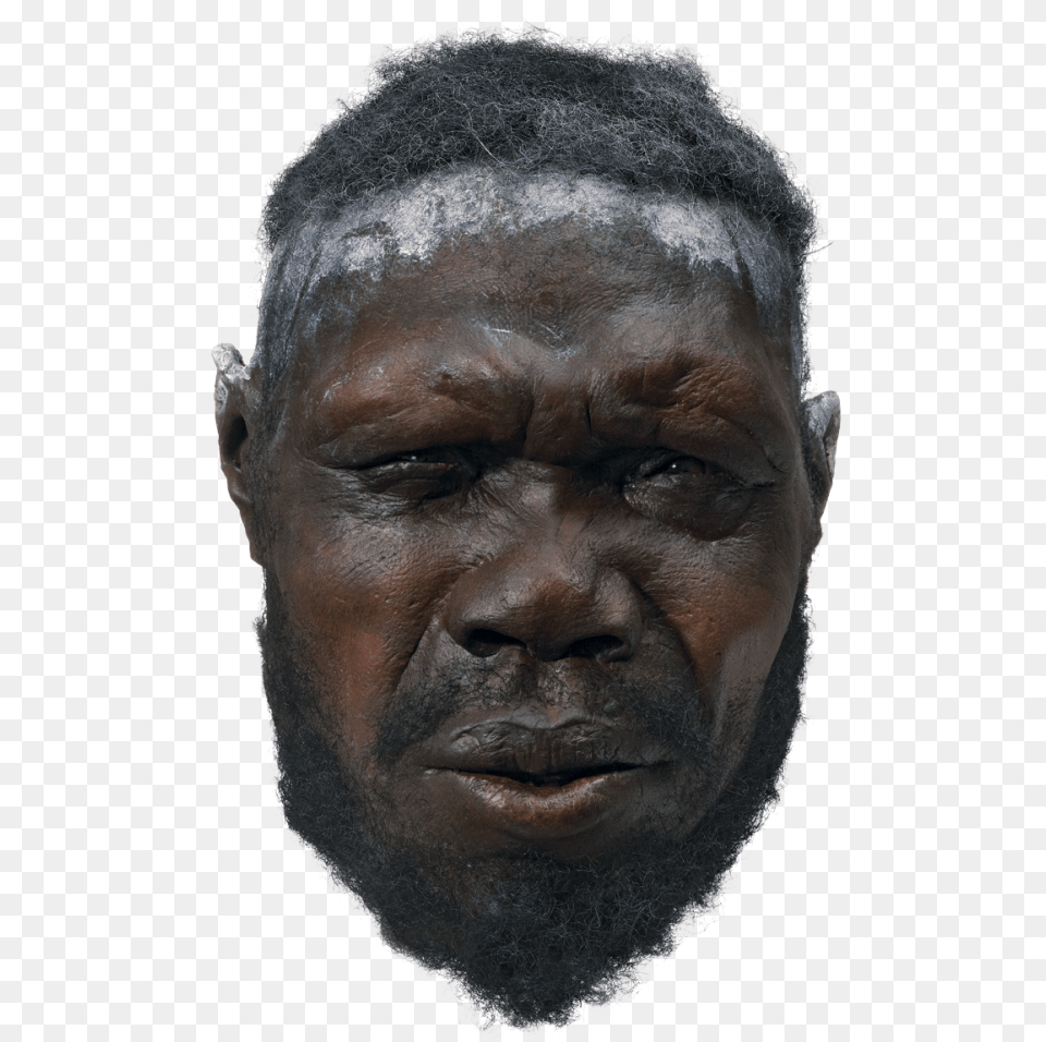 H Sapiens Male Stone Age Modern Humans, Adult, Portrait, Photography, Person Free Png