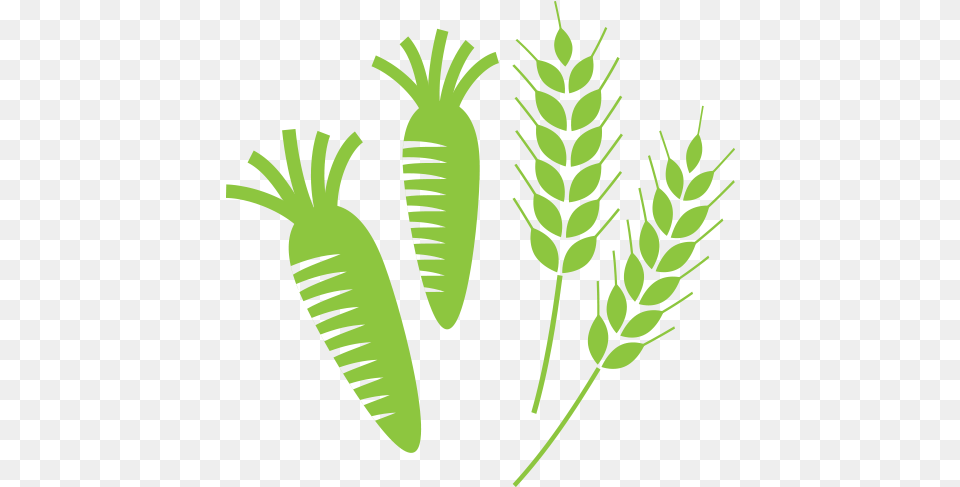 Ha Icon Weight Loss Illustration, Grass, Green, Leaf, Plant Free Transparent Png