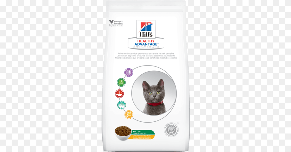 Ha Kitten Hills Pet Nutrition, Animal, Cat, Mammal Png