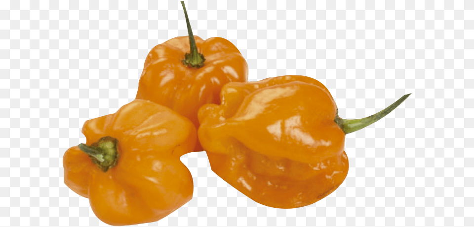 Habanero Chili, Bell Pepper, Food, Pepper, Plant Free Png Download