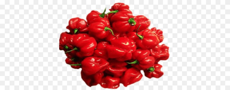 Habanero Chili, Vegetable, Produce, Plant, Pepper Free Transparent Png