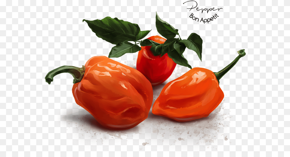 Habanero Chili Habanero Chili, Bell Pepper, Food, Pepper, Plant Free Png Download
