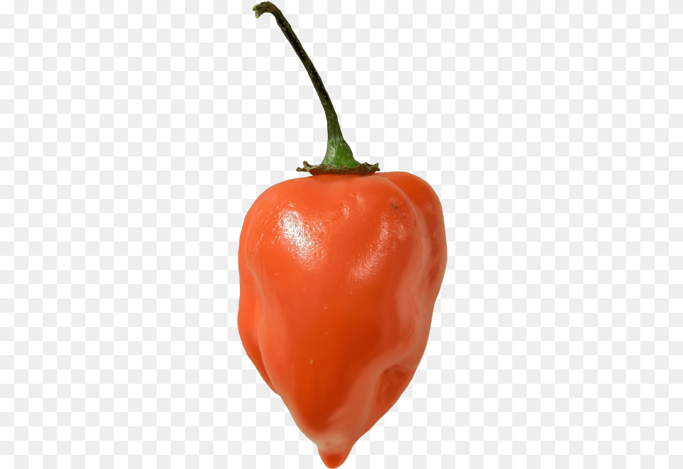 Habanero Pepper, Food, Produce, Bell Pepper, Plant Free Png