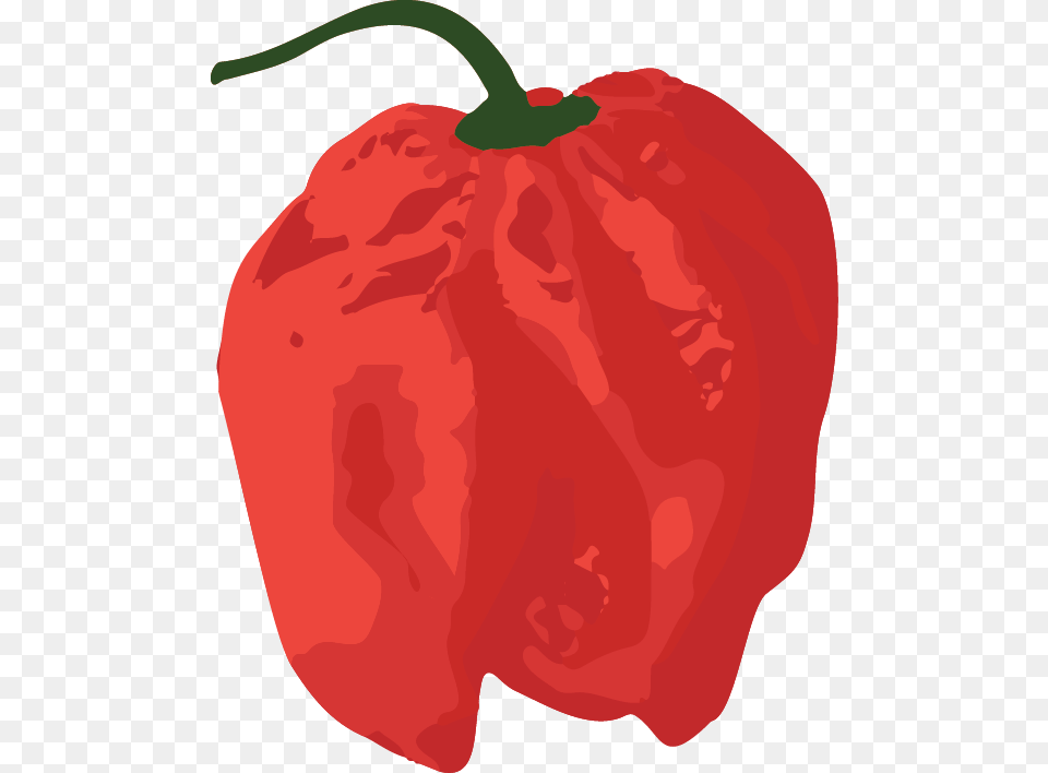 Habanero Red Red Bell Pepper, Food, Produce, Bell Pepper, Plant Free Png Download