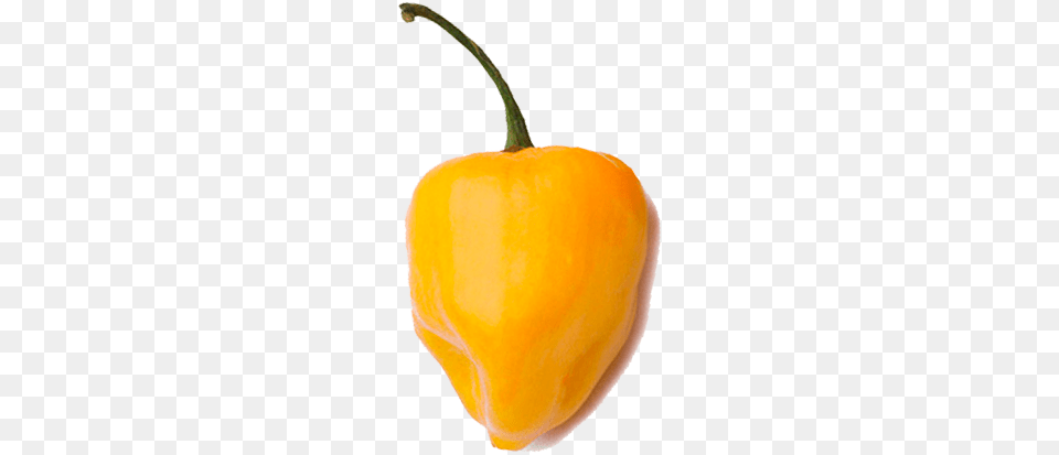 Habanero Yellow Yellow, Food, Produce, Bell Pepper, Pepper Png Image