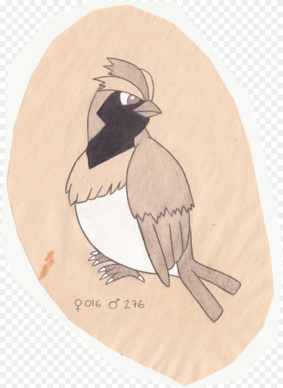 Habitat Drawing Bird Bufflehead, Animal, Jay, Person, Face Free Transparent Png