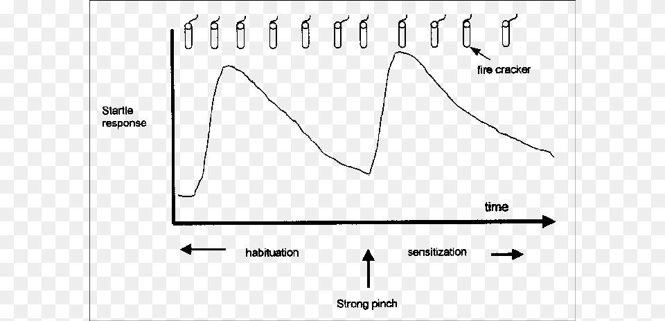 Habituation And Sensitization Exemplified By The Startle, Chart, Plot, Outdoors Free Png