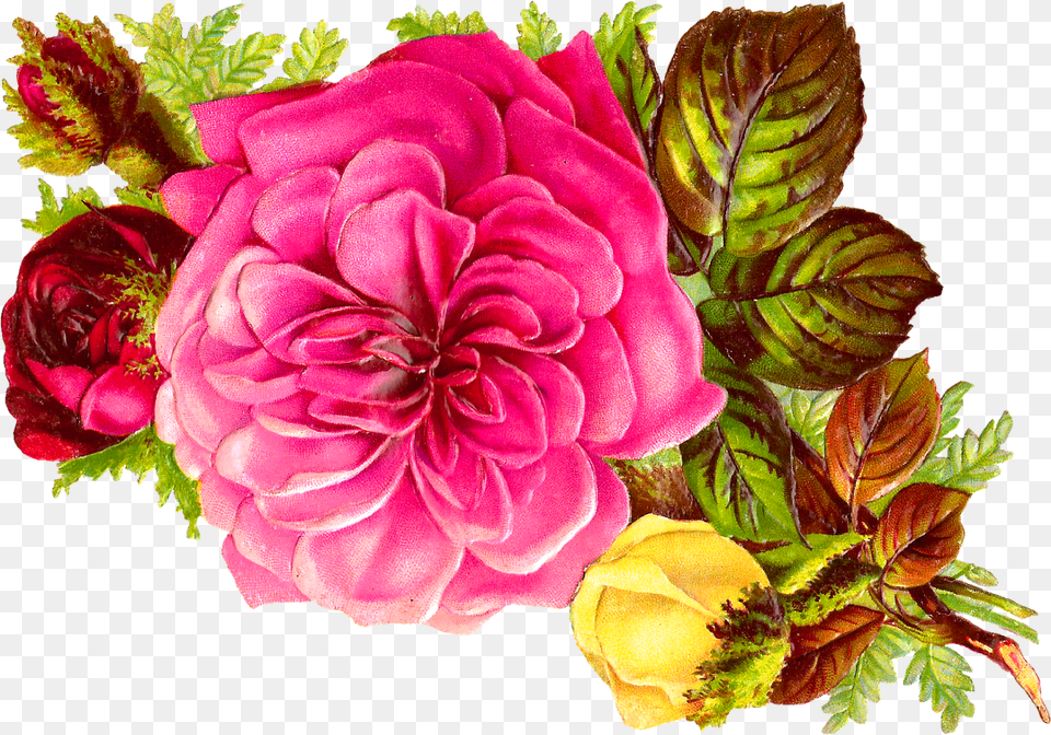 Habrumalas Pink Flower Bouquet Clip Art Clipartandscrap, Rose, Plant, Flower Bouquet, Flower Arrangement Png Image