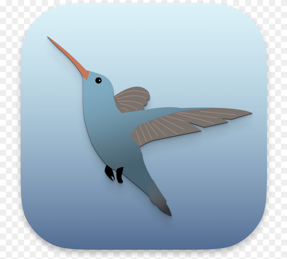 Hachidori Hummingbird, Animal, Bird Free Transparent Png