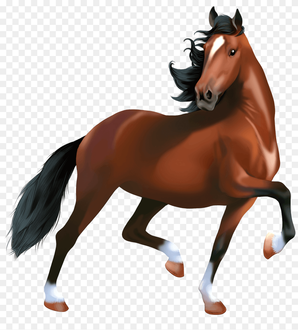 Hackney Horse Clipart, Animal, Colt Horse, Mammal, Stallion Free Transparent Png