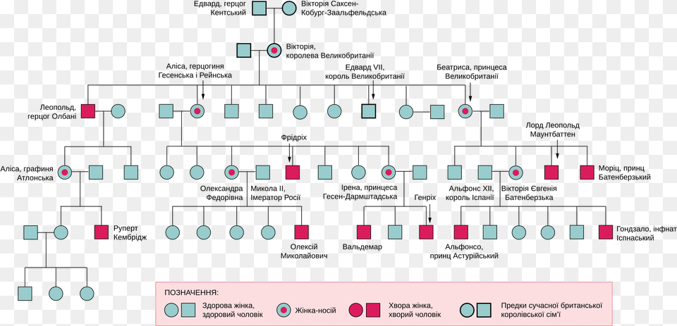 Haemophilia Queen Victoria Family Tree History Queen Victoria Family Tree Free Png Download