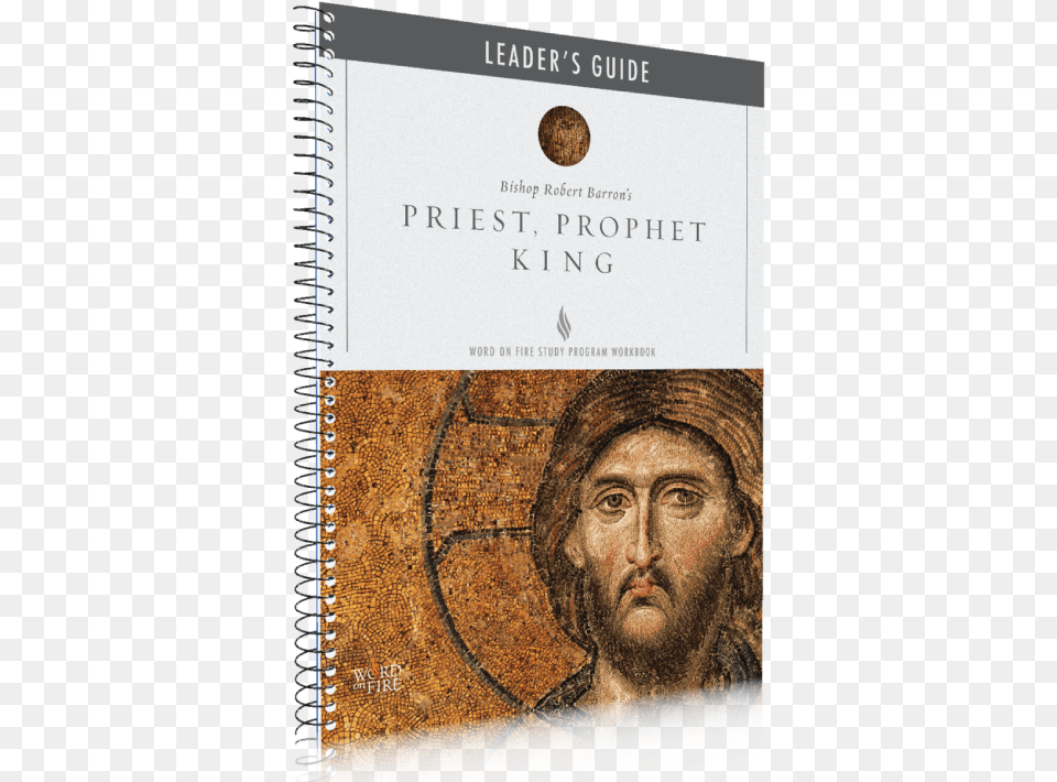 Hagia Sophia Desis Mosaic, Book, Publication, Adult, Male Free Transparent Png