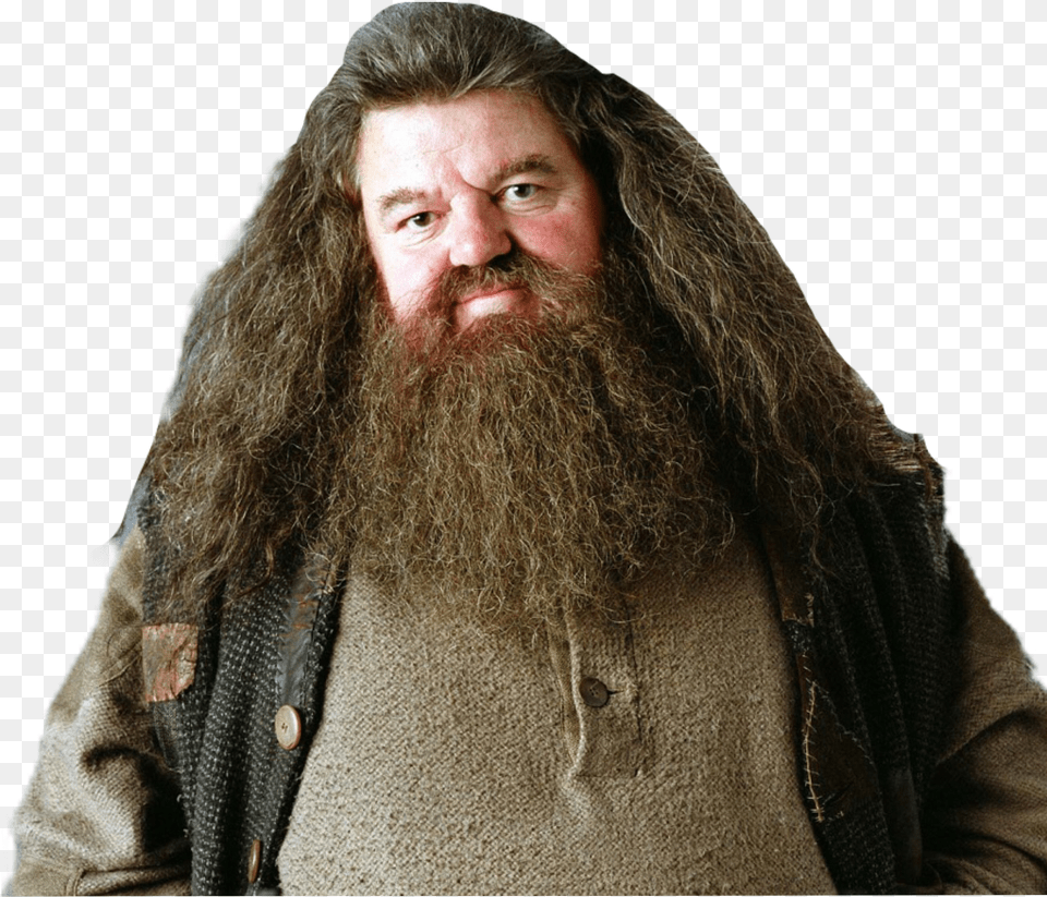 Hagrid Sticker Harry Potter Cast Now 2018, Adult, Person, Man, Male Free Png