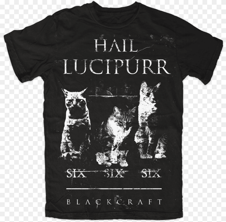 Hail Lucipurr Stay Pawsitive Shirt, Clothing, T-shirt, Animal, Cat Free Png Download