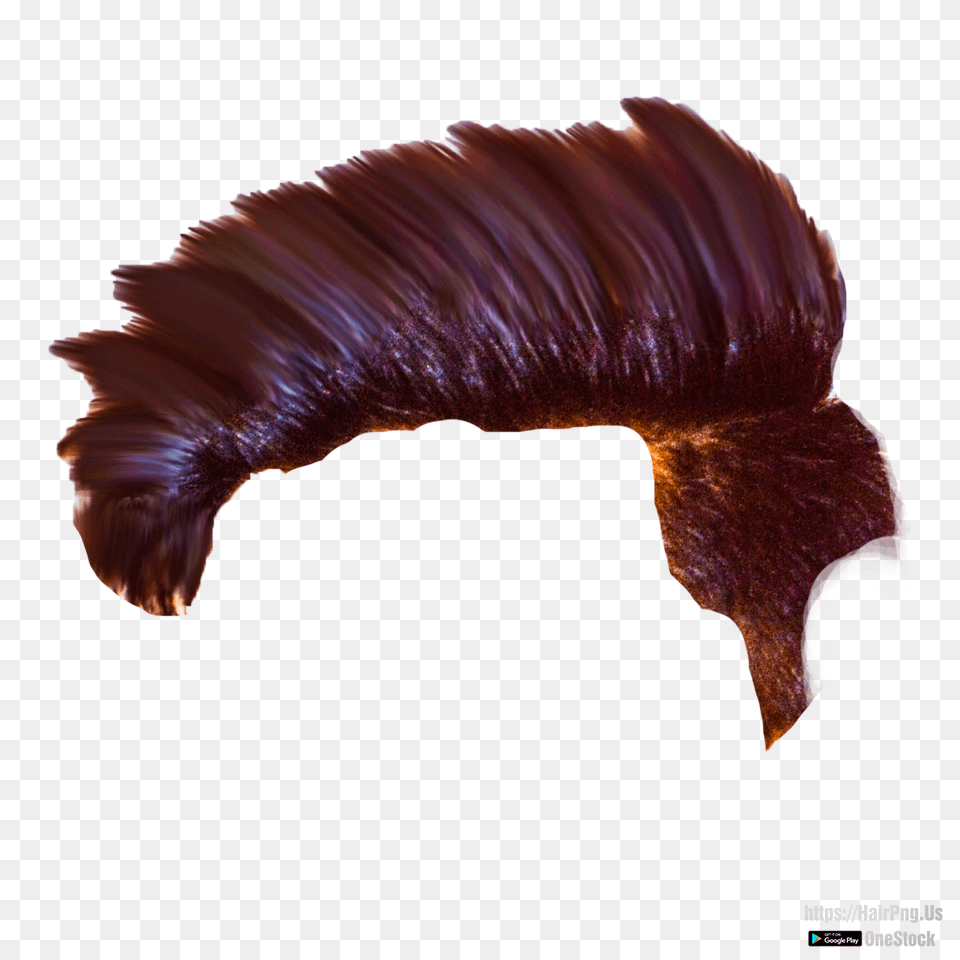 Hair Free Png Download