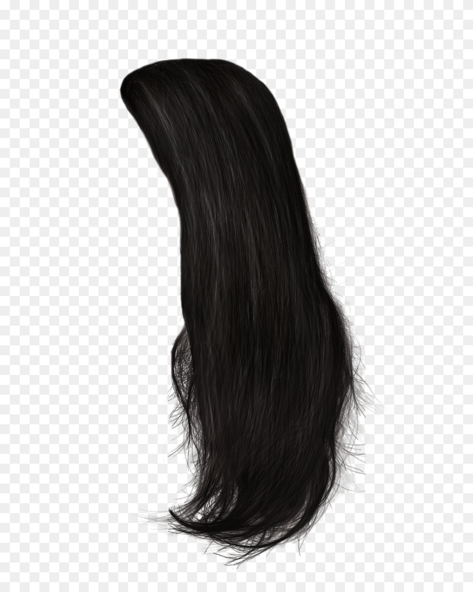 Hair, Black Hair, Person, Adult, Female Free Png