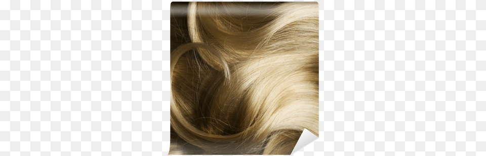 Hair, Blonde, Person, Accessories Free Png Download