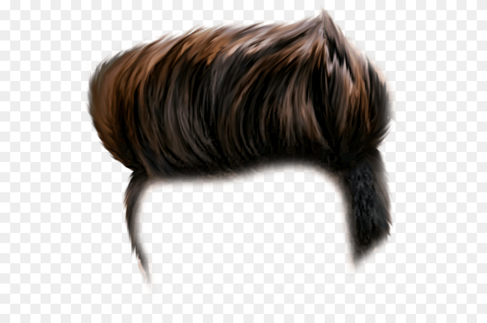 Hair, Animal, Boar, Hog, Mammal Png Image