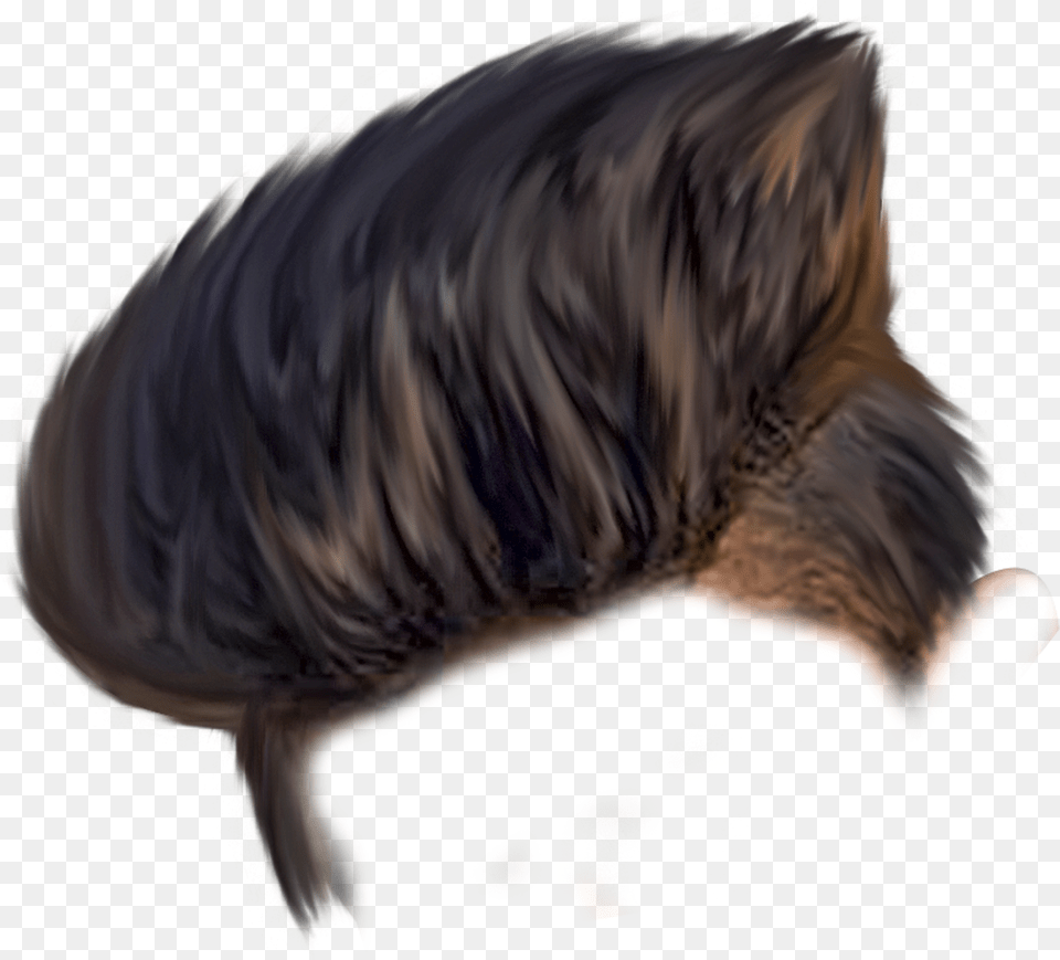 Hair Free Png Download