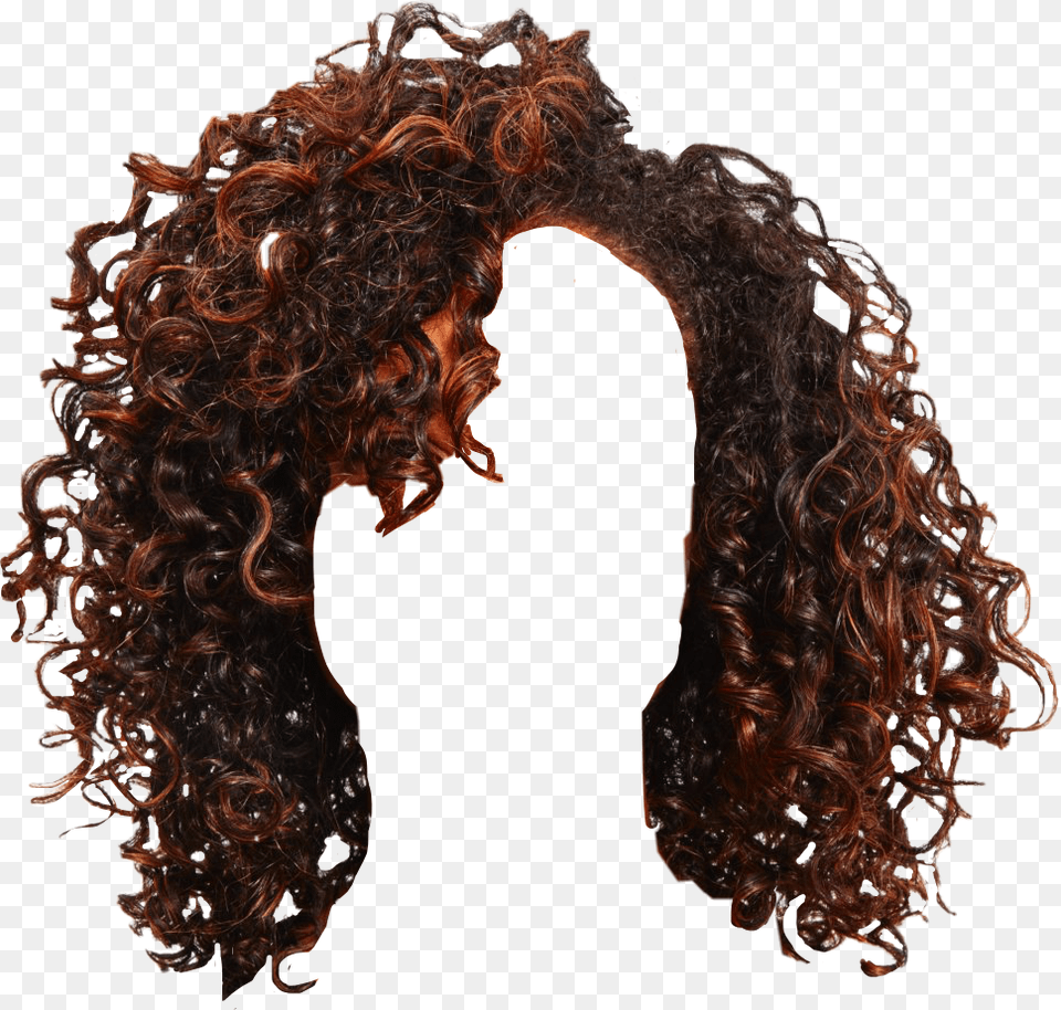 Hair Afro Girl Custom Curly Natural Style Fashion Haircuts Styles 2019 For Curly Hair, Adult, Female, Person, Woman Png