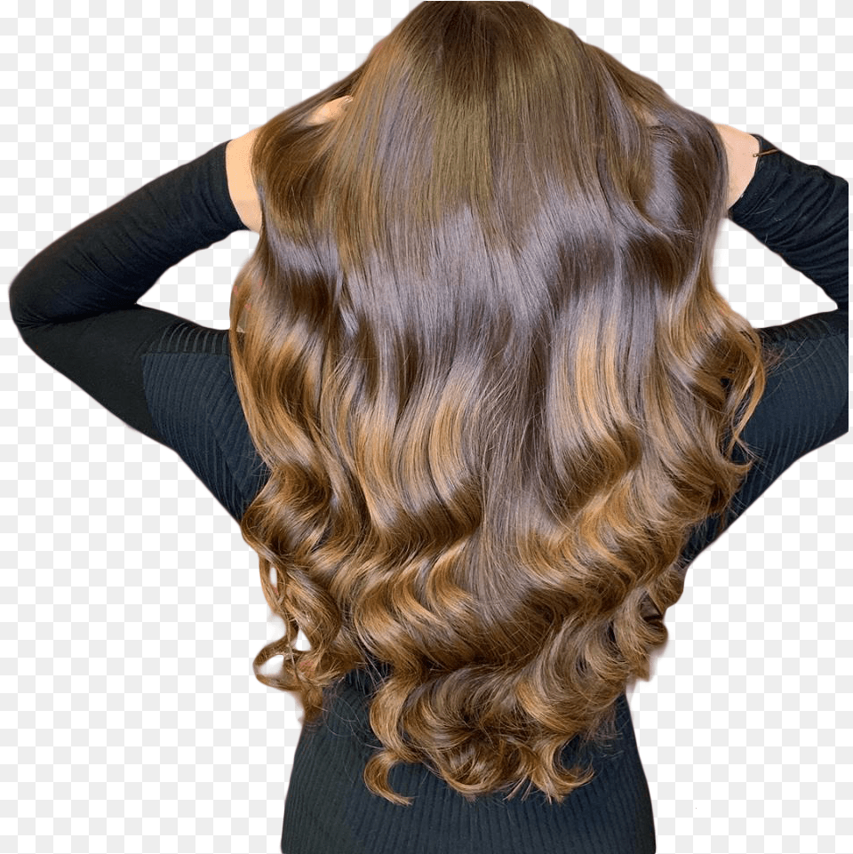 Hair Back Girl, Adult, Female, Person, Woman Free Png Download