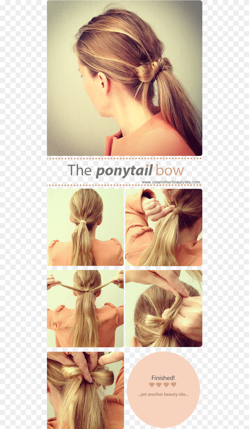 Hair Bow Ponytail Hairstyle, Person, Adult, Girl, Female Free Transparent Png