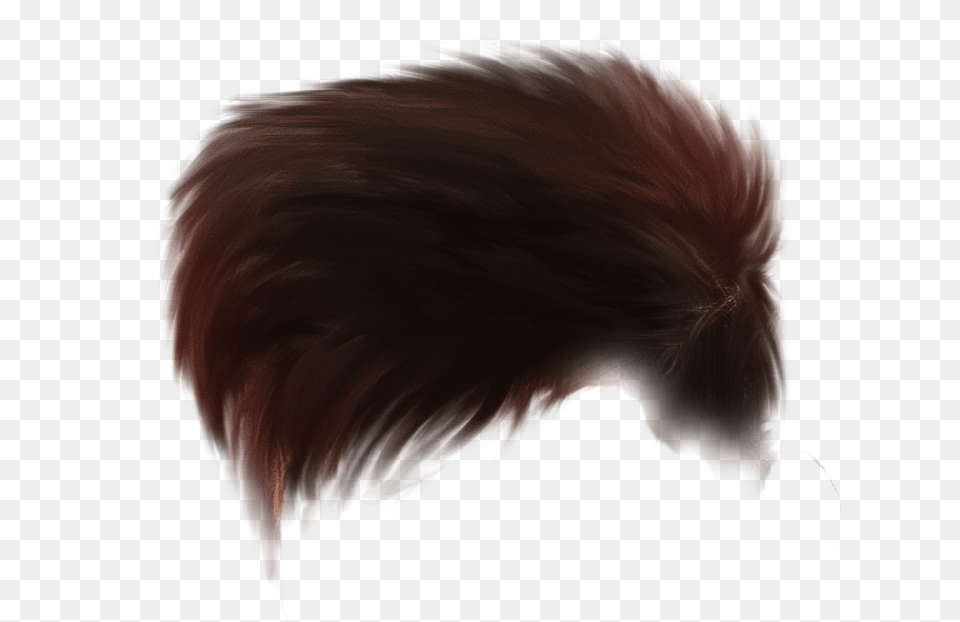 Hair Boy Boy Hair Hd, Baby, Person Png