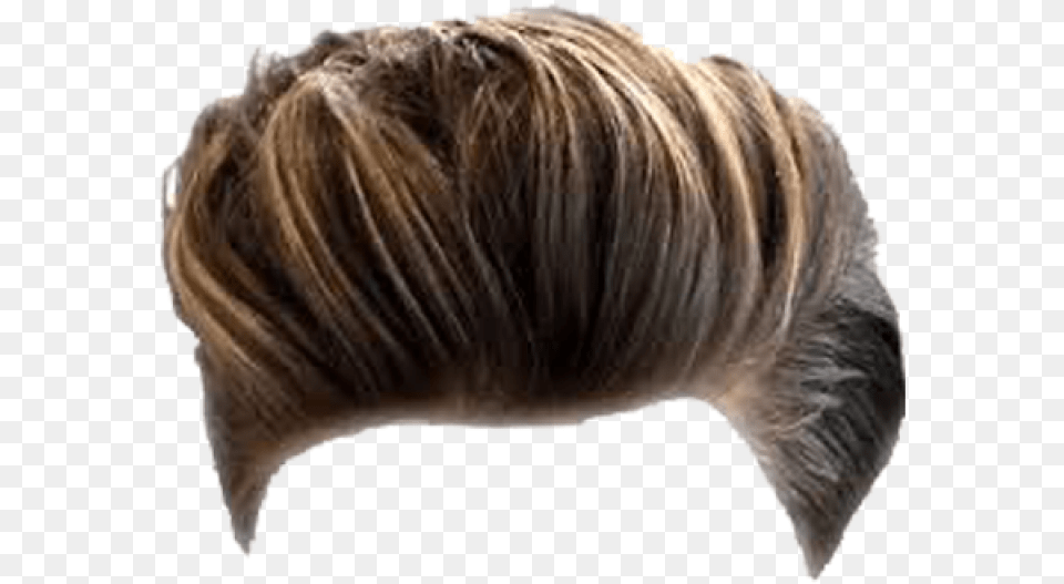 Hair Boy Hair Wig, Adult, Female, Person, Woman Png Image