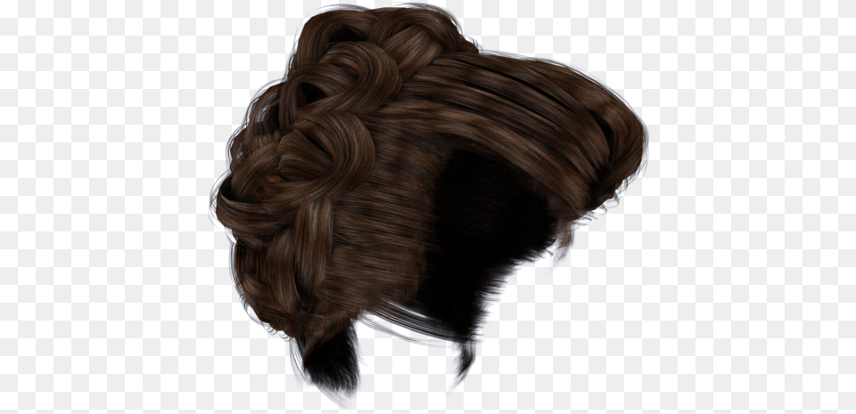 Hair Bun, Adult, Female, Person, Woman Free Png