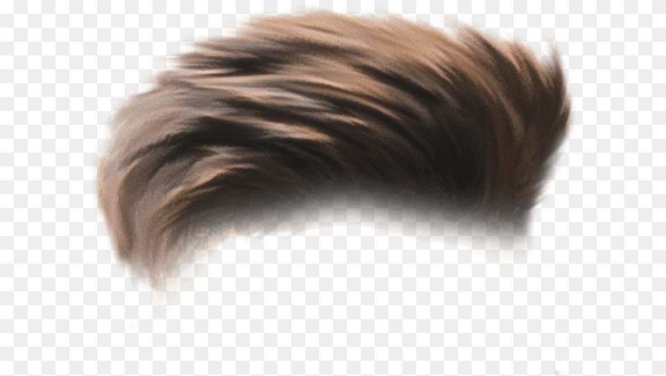 Hair Cb Brown Hair Hd, Baby, Person Png