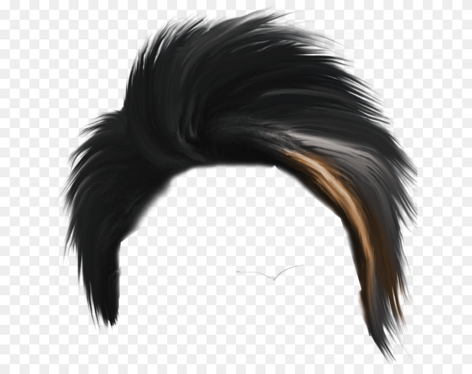 Hair Cb Hair For Picsart, Animal, Bird, Person Free Png Download