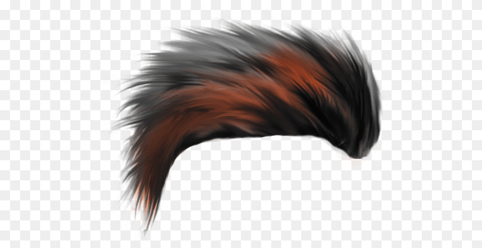 Hair Cb Hair Hd Download, Accessories, Adult, Female, Person Png