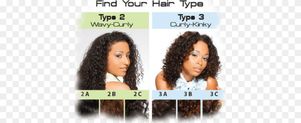 Hair Chart Type Min Hair Types, Adult, Person, Head, Female Free Png Download