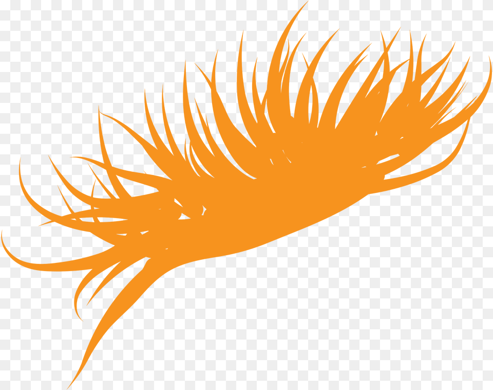 Hair Clipart, Art, Plant Free Png