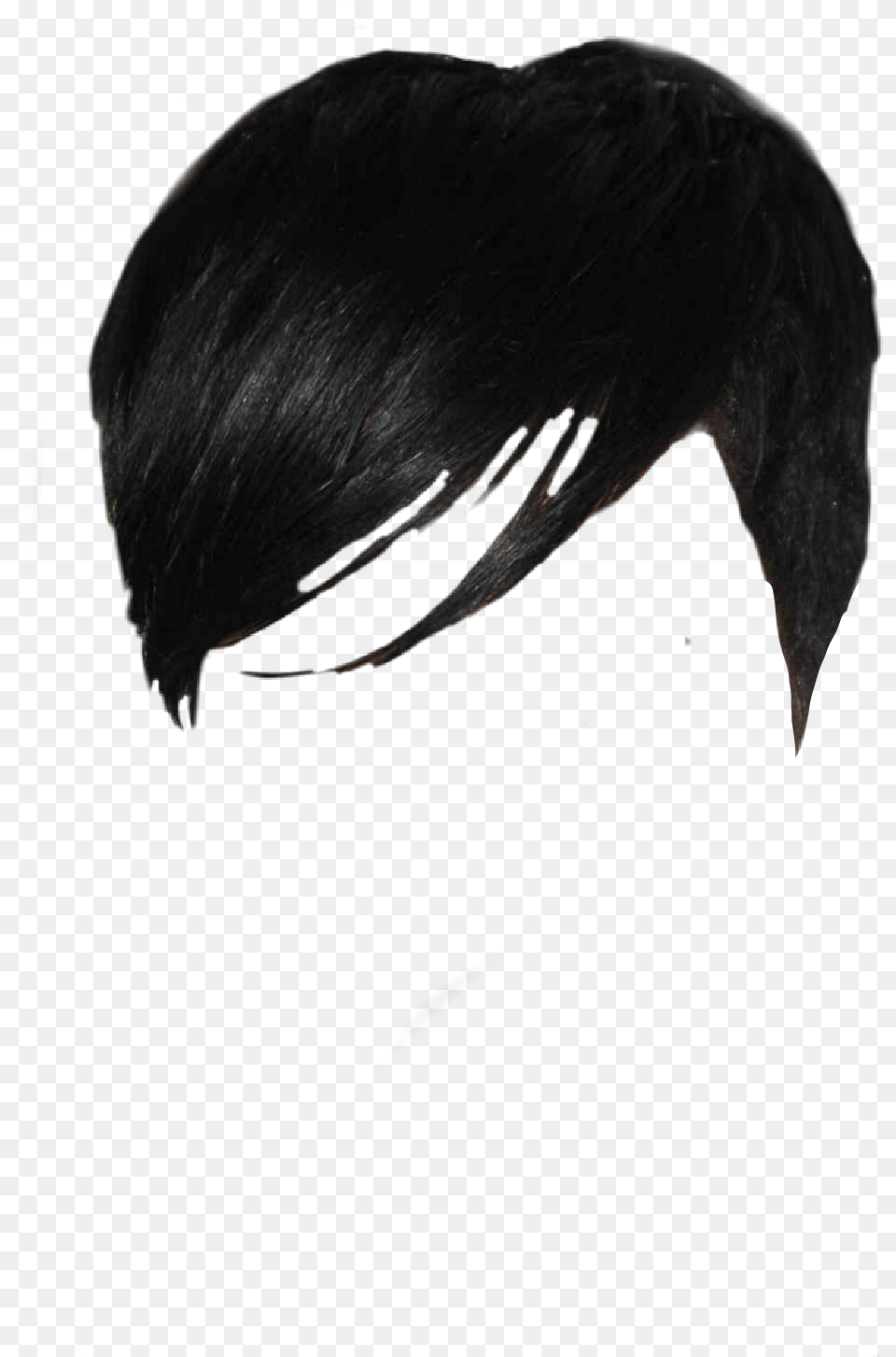 Hair Clippers Lace Wig, Black Hair, Person, Adult, Female Free Png Download