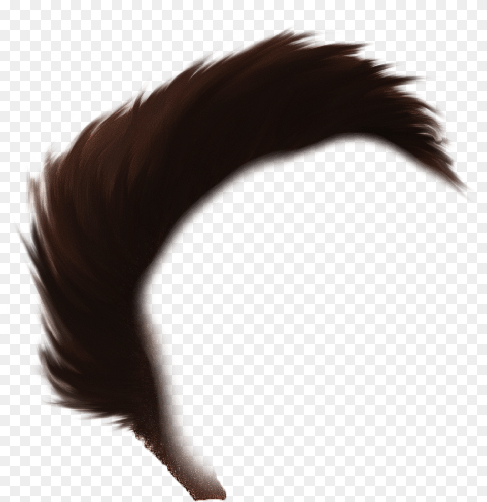 Hair Close Up, Mohawk Hairstyle, Person, Adult, Male Free Transparent Png