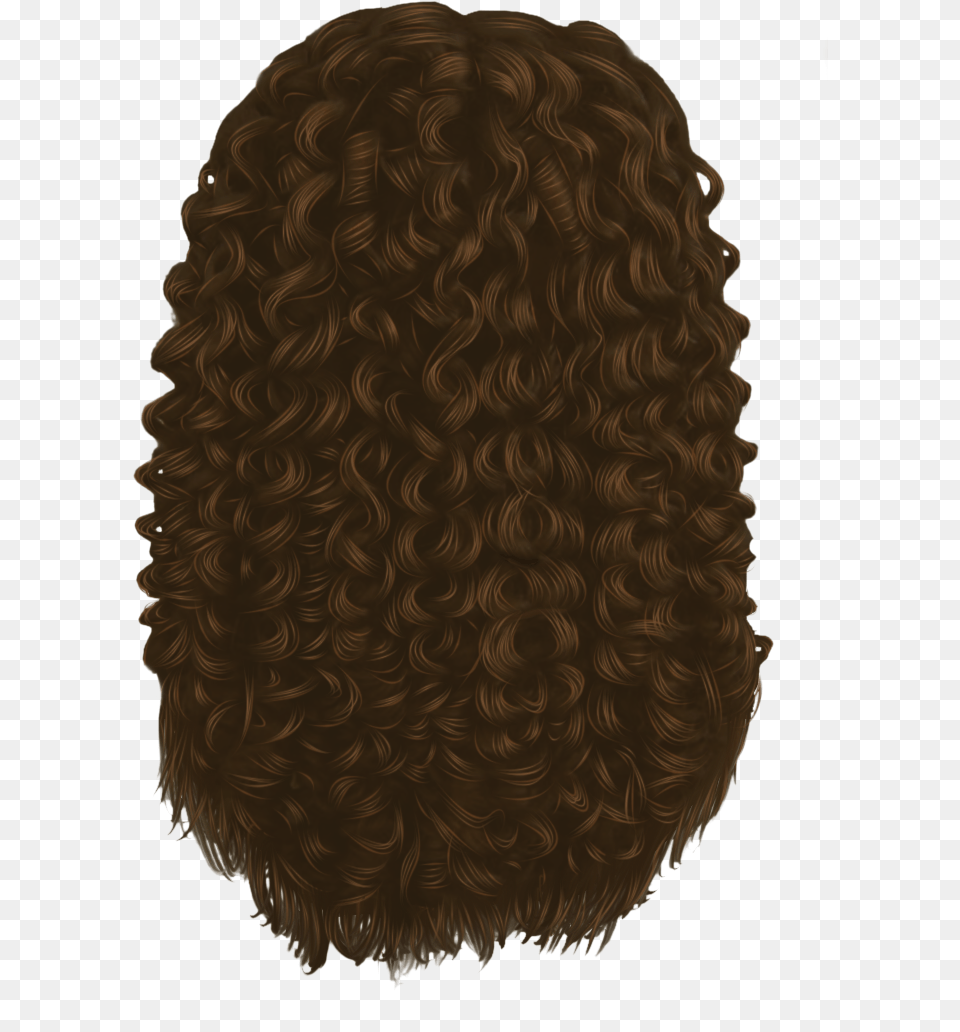 Hair Curls Free Download Lace Wig, Home Decor, Person, Back, Body Part Png