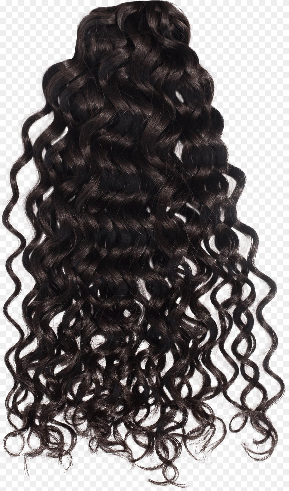 Hair Curls Photo Curly Hair, Adult, Female, Person, Woman Free Transparent Png
