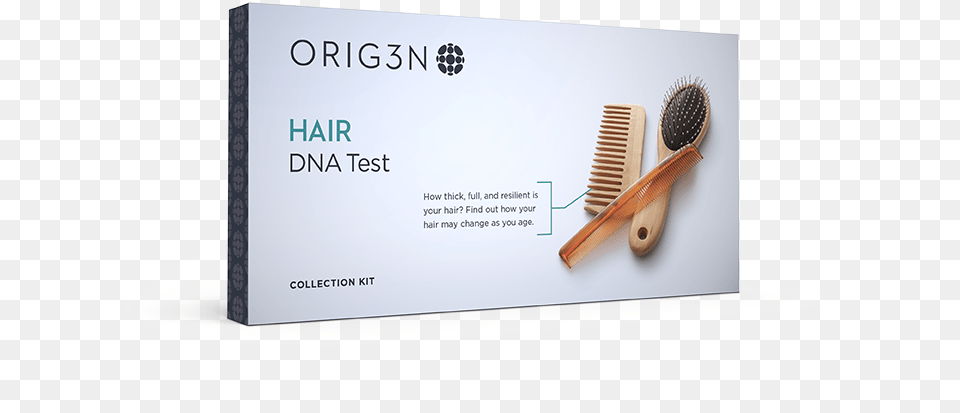 Hair Dna Testclass Hair Dna Test, Text, Blade, Razor, Weapon Free Transparent Png