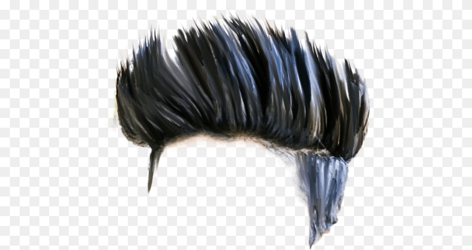 Hair Hd Quality Latest Cb Hair Stock Insect, Animal, Beak, Bird, Adult Free Png Download