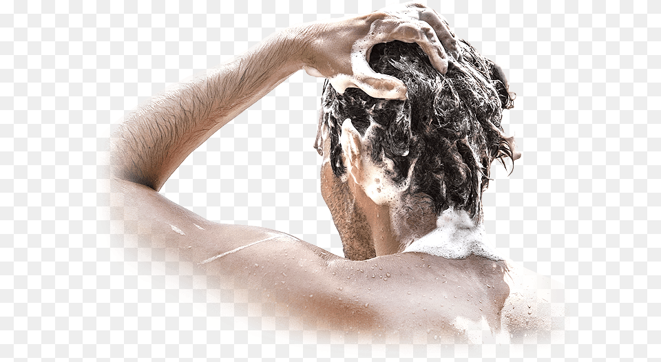 Hair Fibers Organic Loss Products Shampoo, Person, Washing, Adult, Male Free Transparent Png